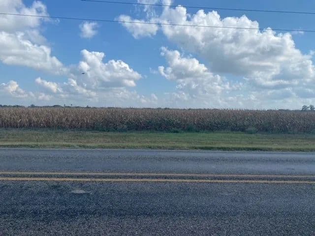 Property from 0 E General Cavazos Boulevard - KW