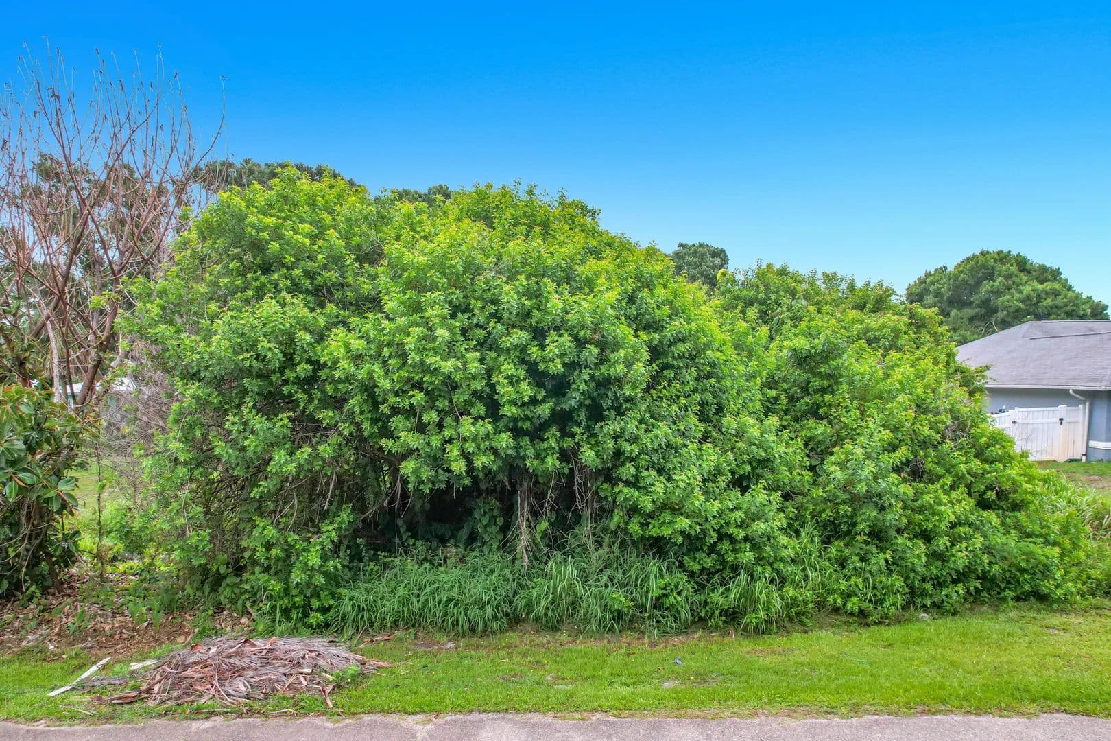 Property from 1510 Emerson Lane - KW - Sebastian, Florida, 32958