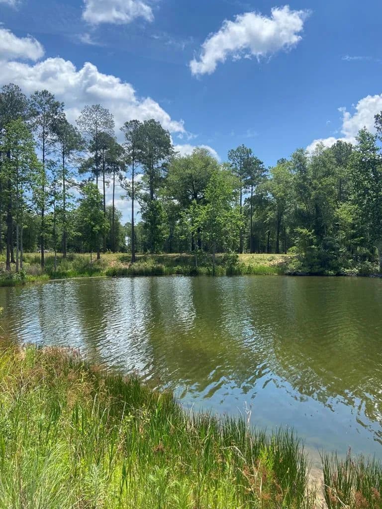 Vacant Land in Leesburg - Leesburg, Georgia, 31763