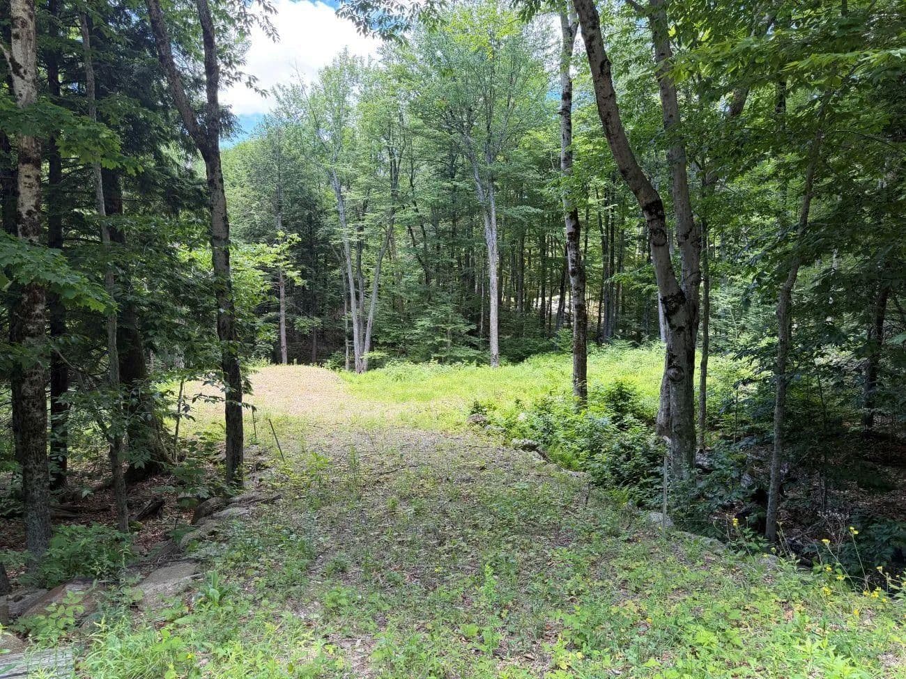 Property from 151 Red Coat Lane - KW - Stoddard, New Hampshire, 03464