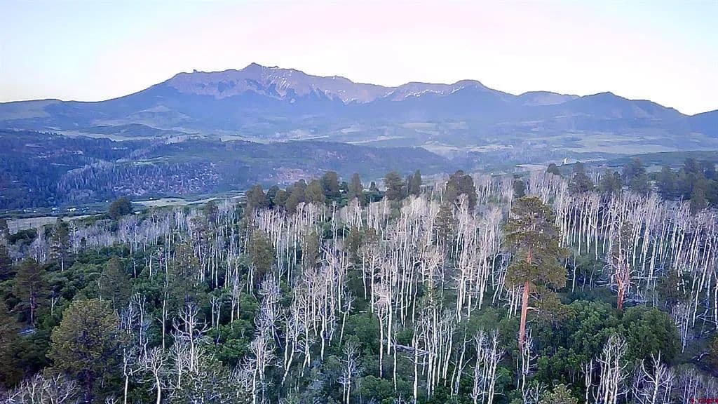 Property from #6 Little Lake Ranch Drive - KW - Placerville, Colorado, 81430