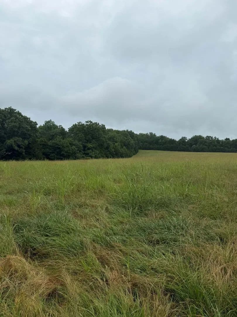 Property from 227 J Lea Lane - KW - Theodosia, Missouri, 65761