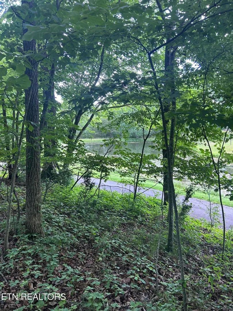 Property from 26 Rolling Green Court - KW - Fairfield Glade, Tennessee, 38558