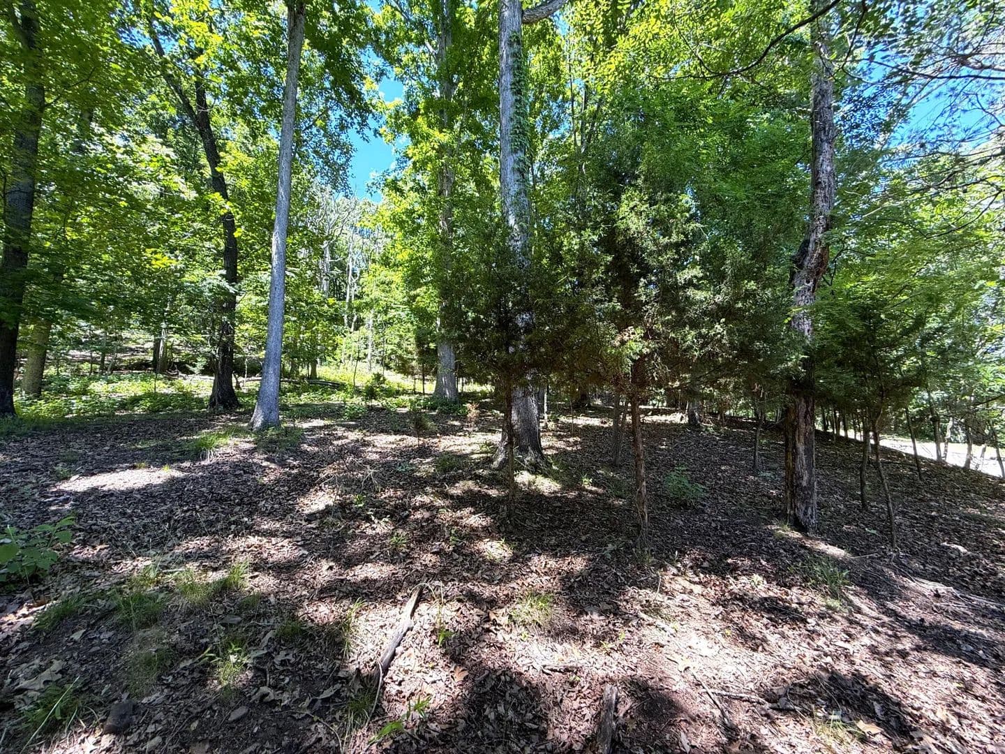 Property from 0 Harbor View - KW - Mooresburg, Tennessee, 37811