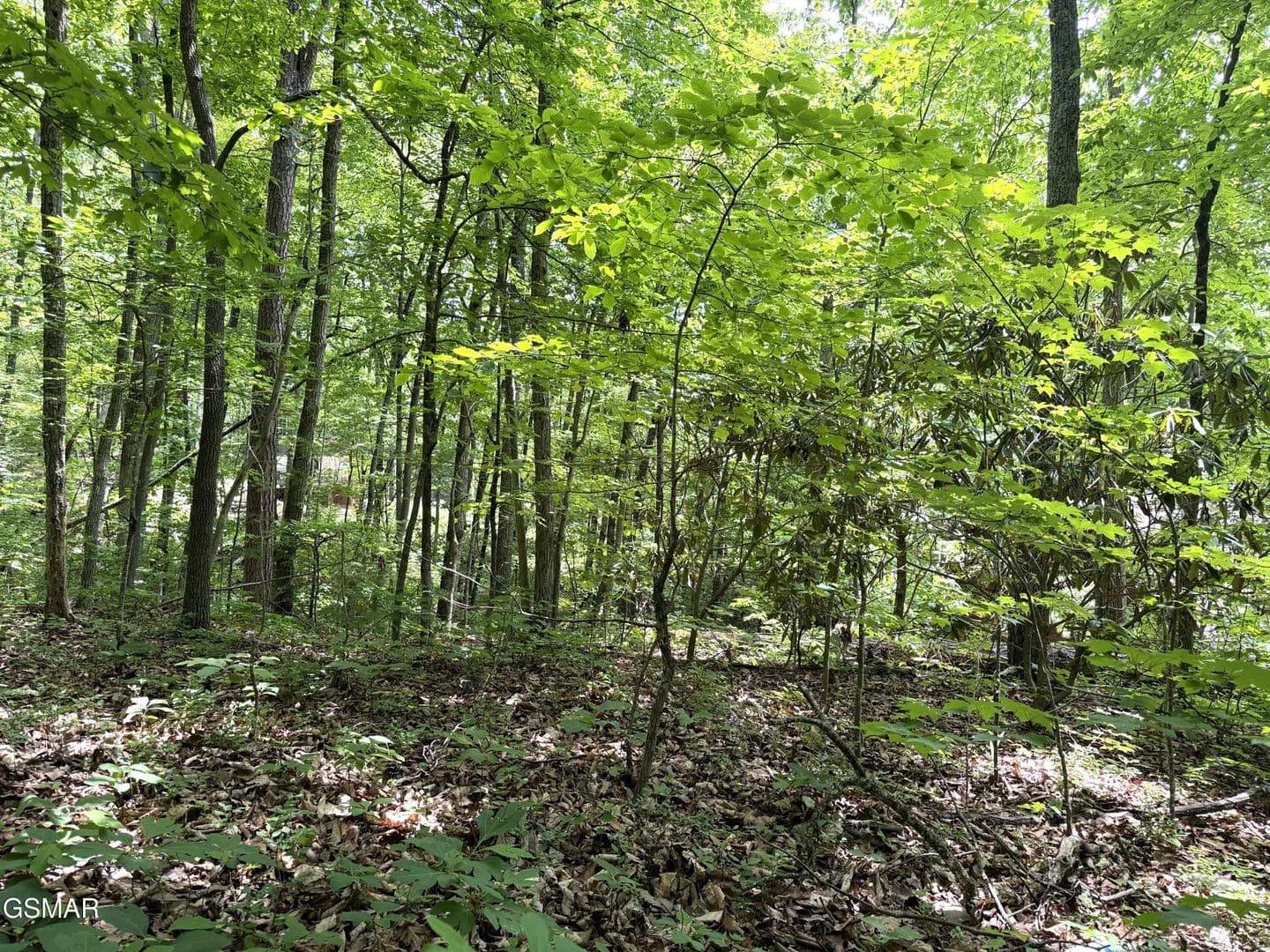 Property from Lot 10 Swan Saddle - KW - land for sale