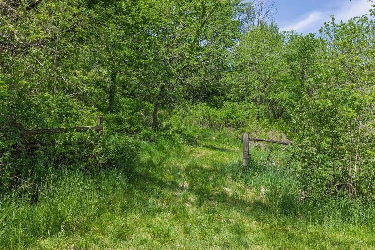 8± Acres with Spring & Cabin Site in Richland County, WI | Driftless Region Recreational Land for Sale - Cazenovia, Wisconsin, 53924