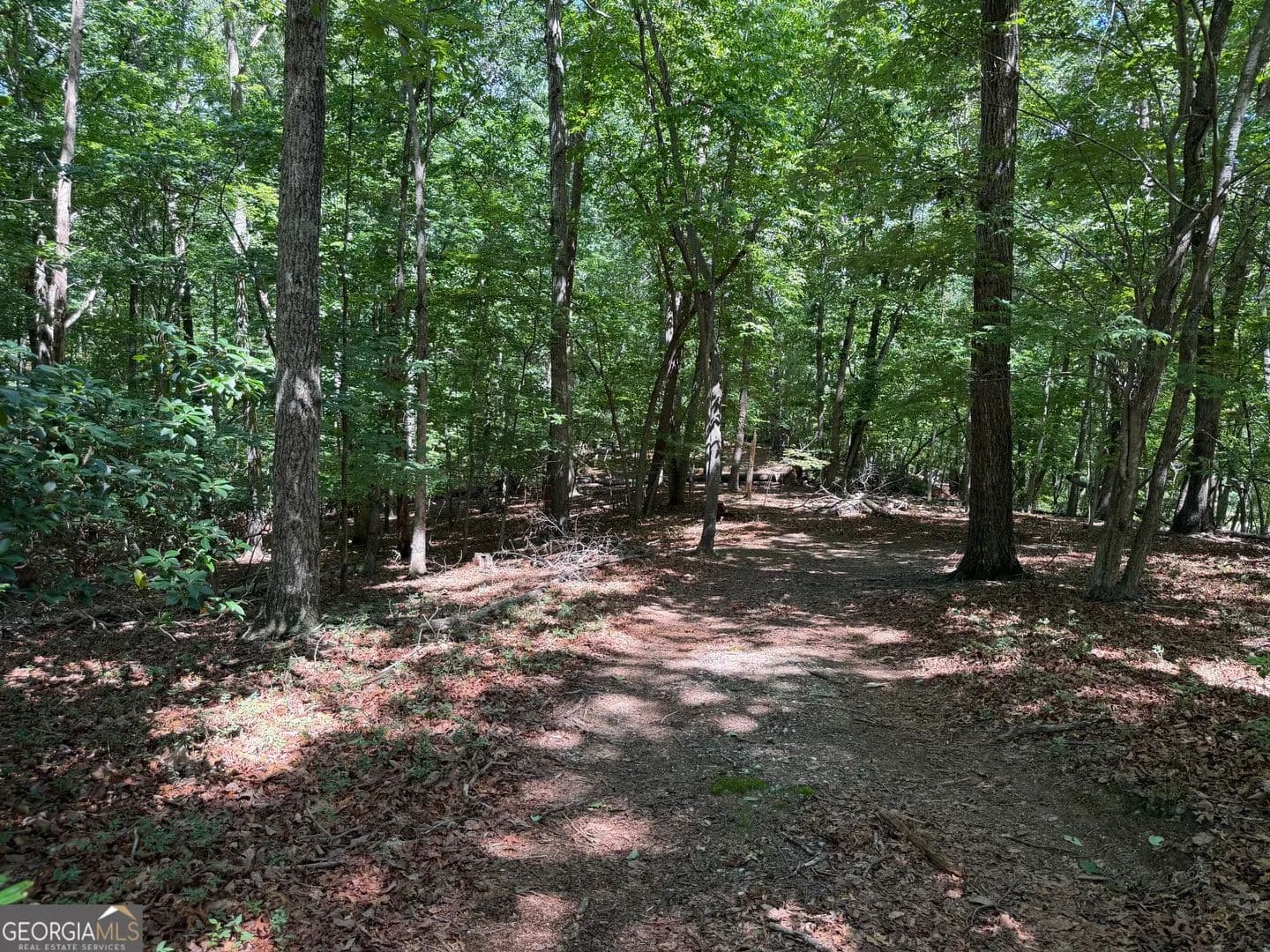 3.92 Acres of Land for Sale in Cleveland, Georgia - Cleveland, Georgia, 30528