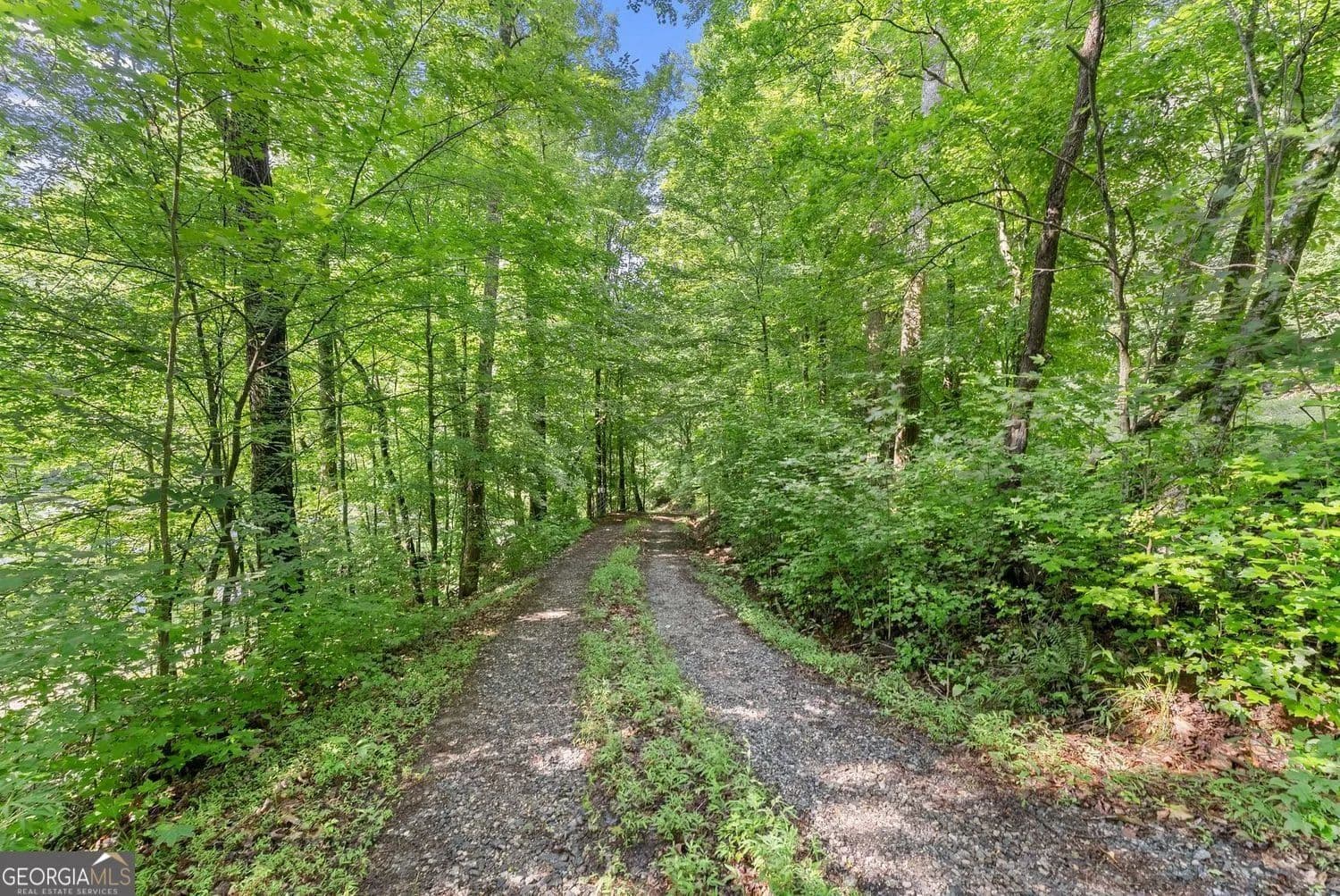 Property from 0 Long Branch Road - KW - Dahlonega, Georgia, 30533