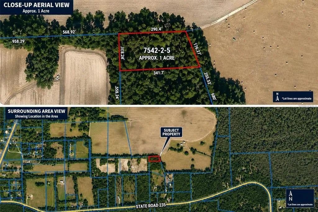 Vacant Land in Brooker - Brooker, Florida, 32622