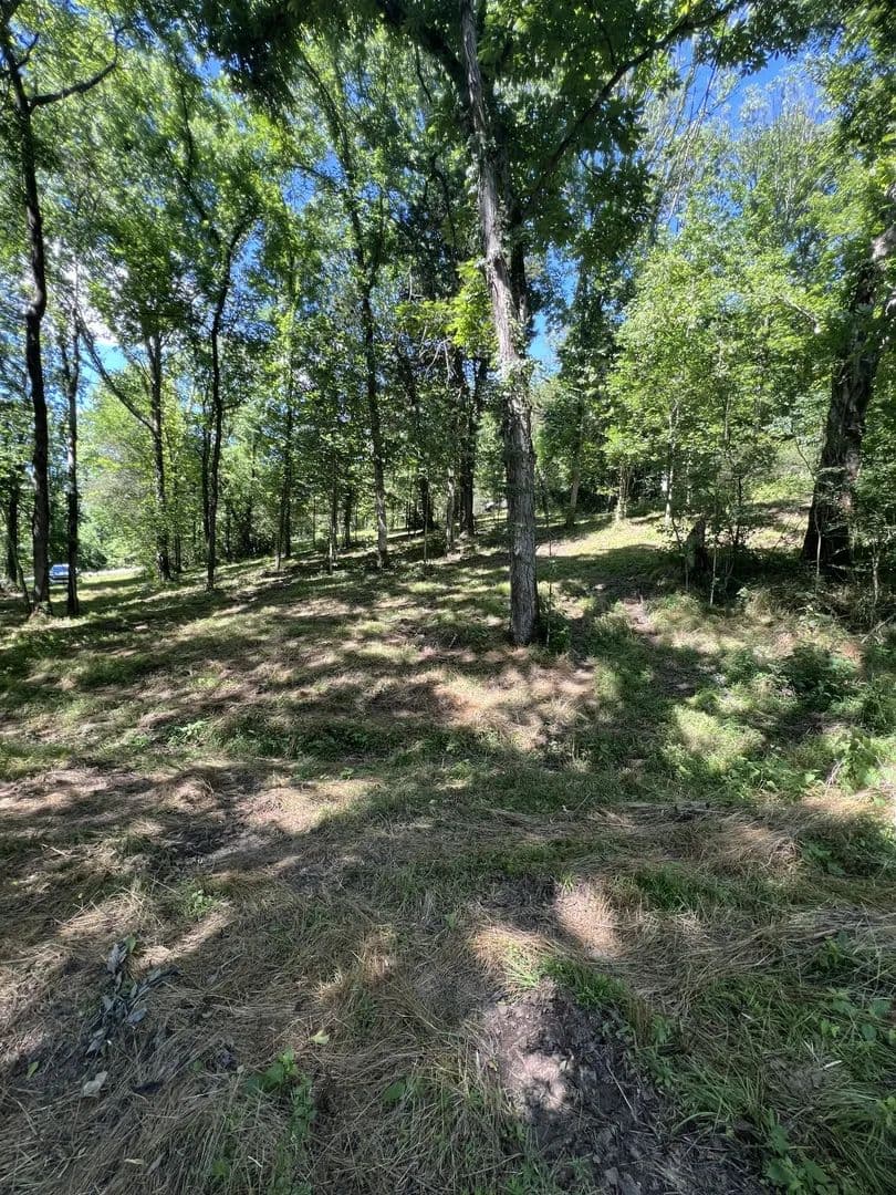 8.26 Acres of Land for Sale in Elmwood, Tennessee - Elmwood, Tennessee, 38560