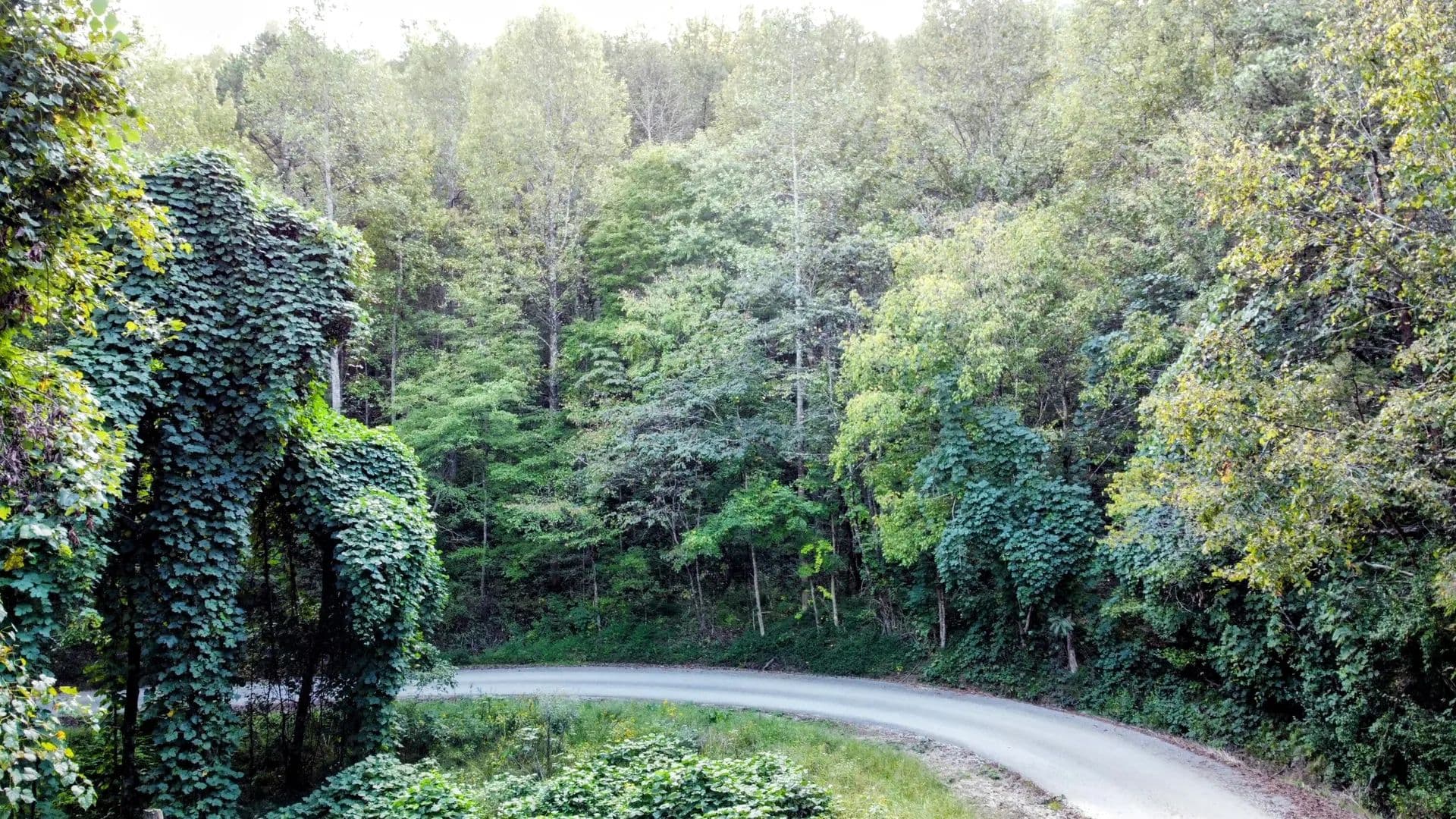 Property from 309 Smokey Joe Drive - KW - Barbourville, Kentucky, 40906