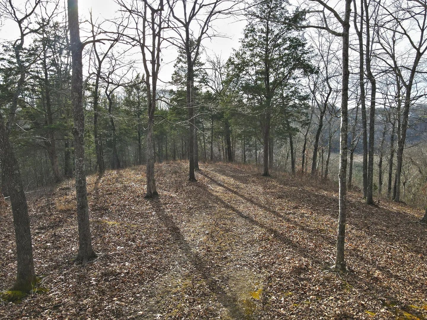 Property from 5 Carson Road - KW - Russell Springs, Kentucky, 42642