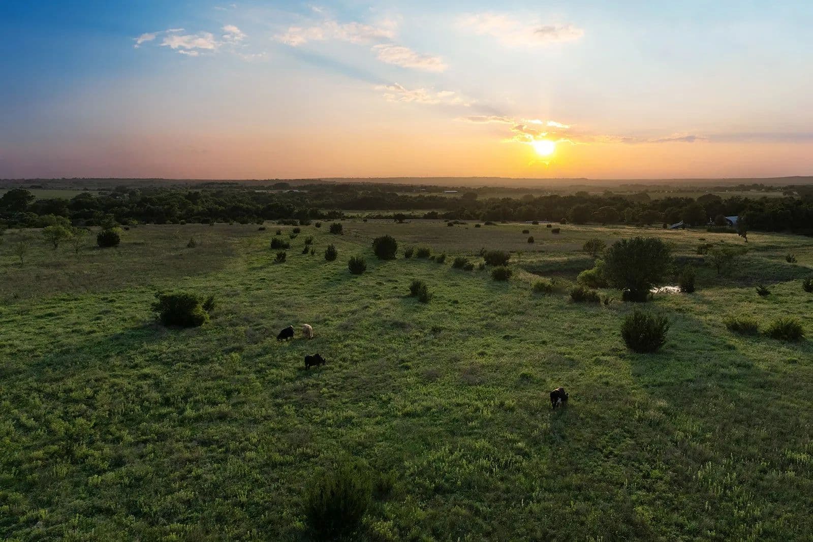 69 Acres of Land for Sale in Lipan, Texas - Lipan, Texas, 76462