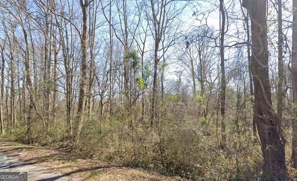 5.3 Acres of Land for Sale in Sandersville, GA - Sandersville, Georgia, 31082