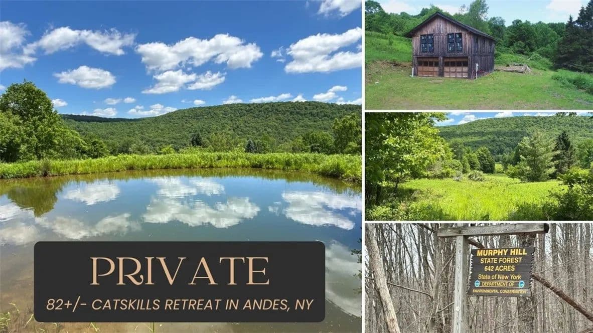 82.7 Acres of Land for Sale in Andes, NY - Andes, New York, 13731