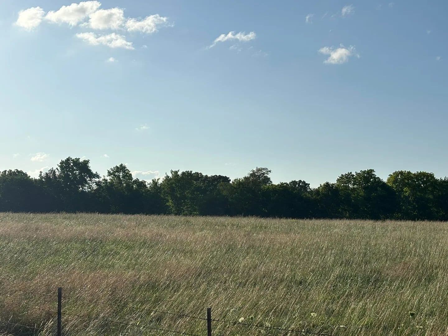25.3 Acres of Land for Sale in Seneca, MO - Seneca, Missouri, 64865