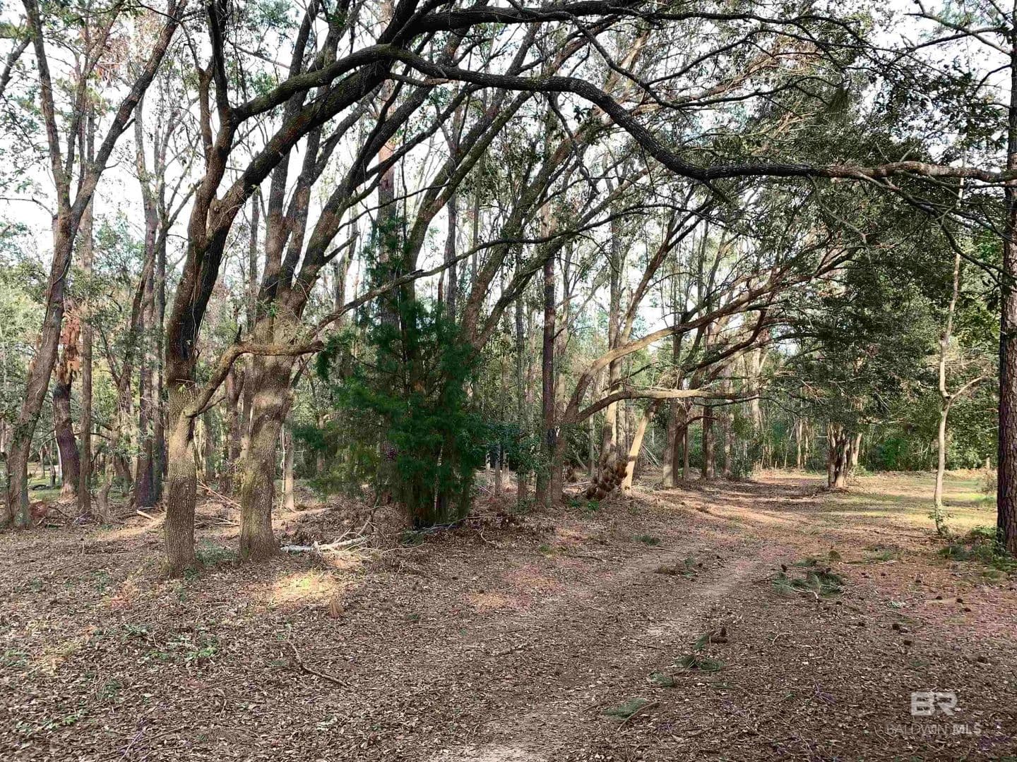 Property from 8789 County Road 11 - KW - Fairhope, Alabama, 36532