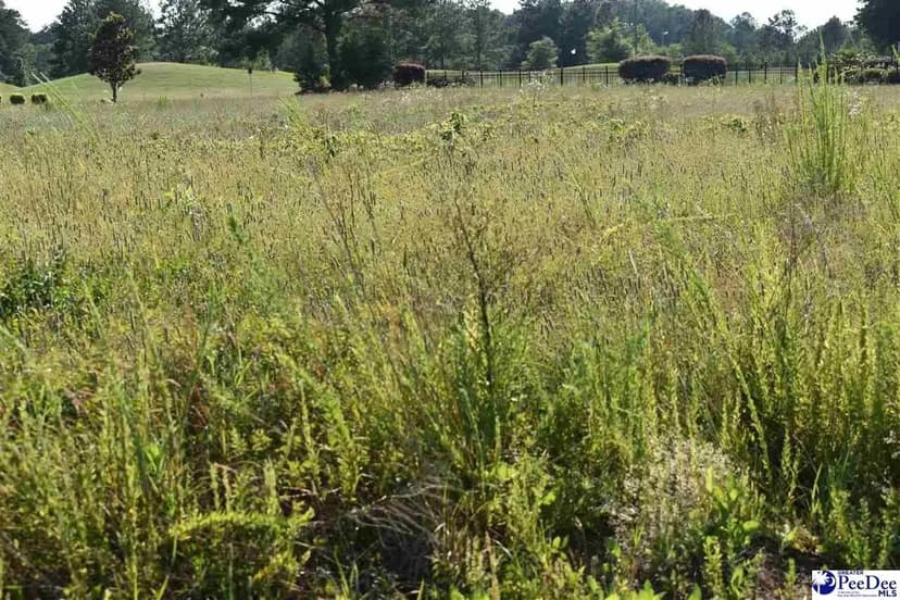 Lots & Land-Other in Lamar