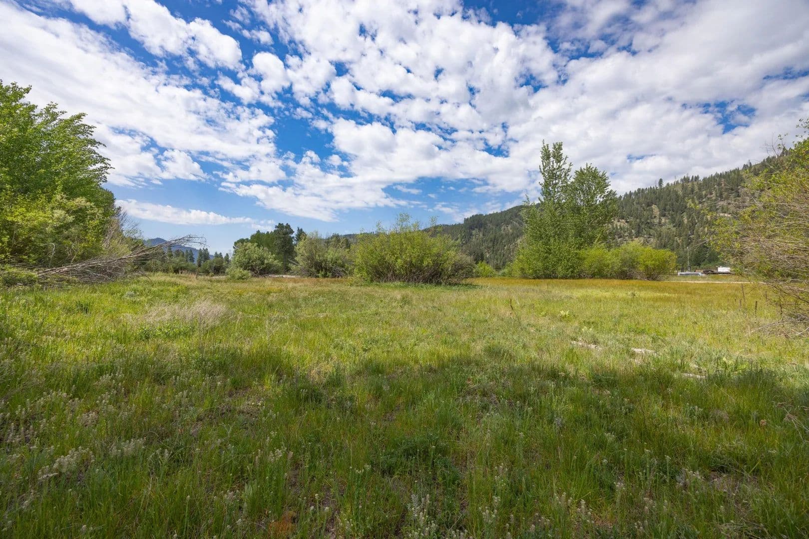 1.36 Acres of Land for Sale in Pine/Featherville, ID - Idaho, 83647