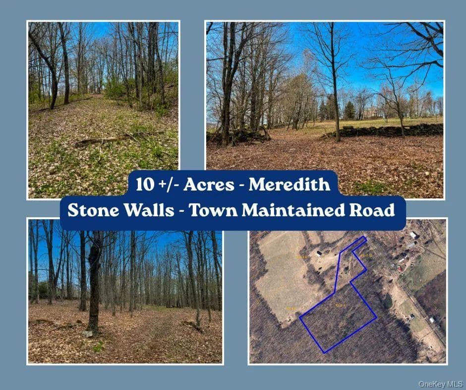 Property from Lot 4 Shaver Hill Road - KW - East Meredith, New York, 13806