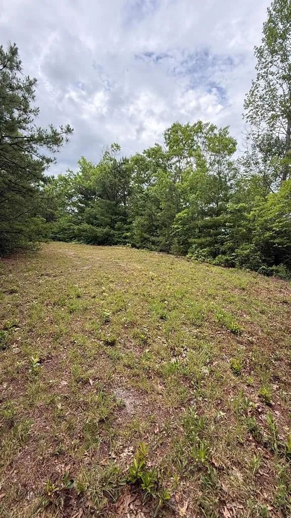 Property from 63 & 64 Hummingbird Hill - KW - Bryson City, North Carolina, 28713