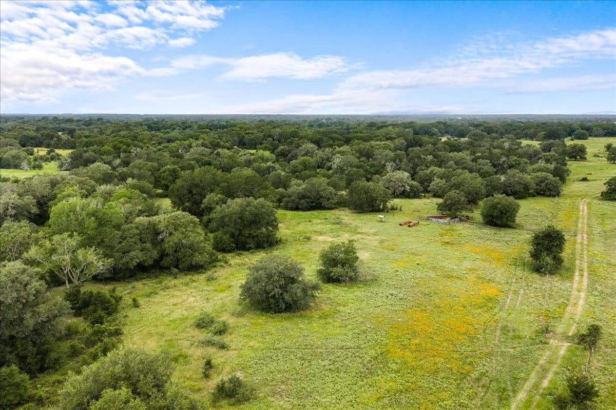 36.2 Acres of Land for Sale in La Grange, Texas - La Grange, Texas, 78945