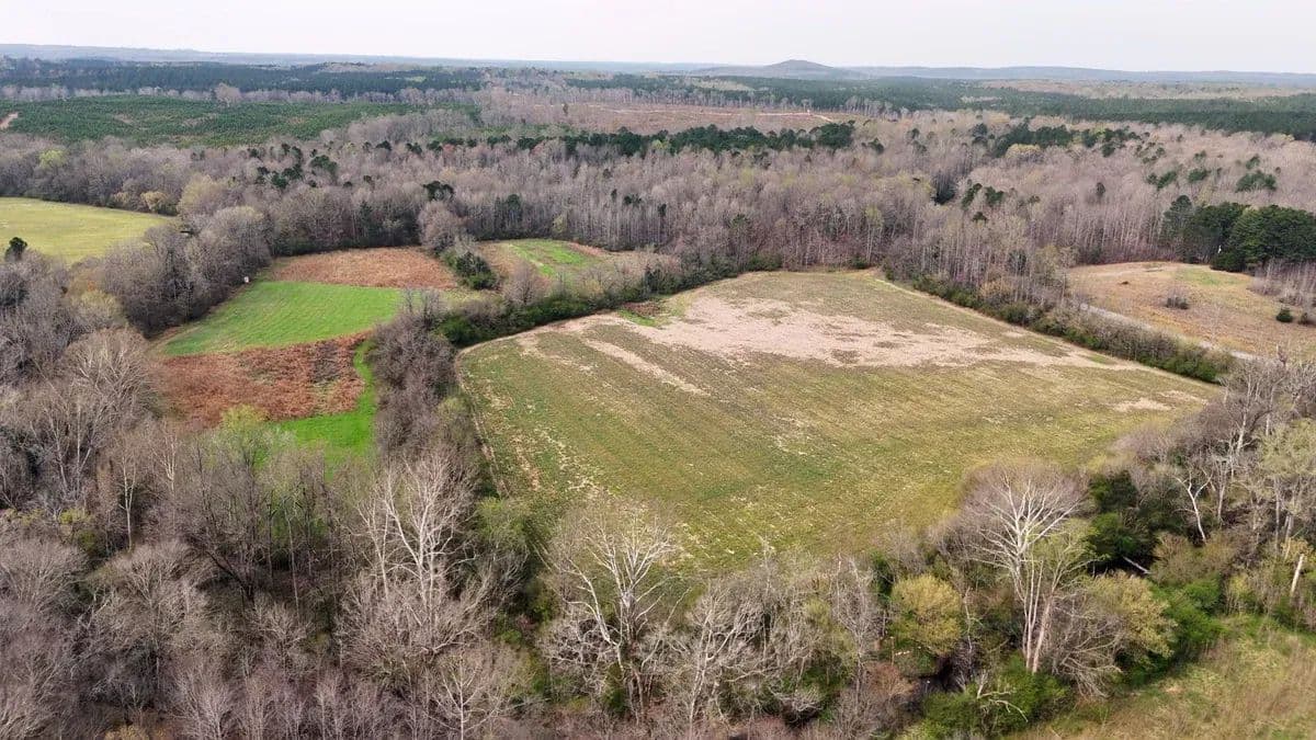 West Fork Tract - land for sale