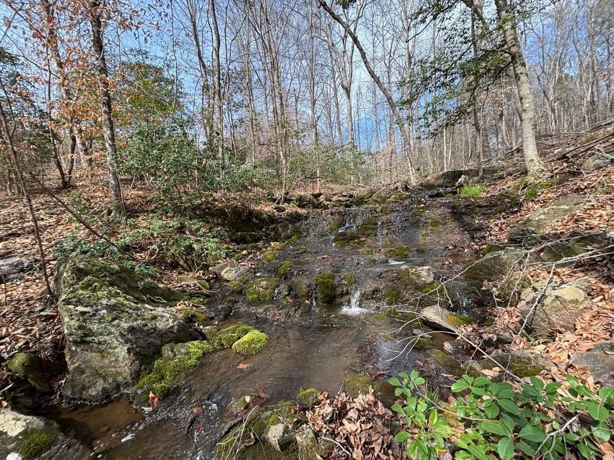 West Fork Tract - Troy, North Carolina, 27371