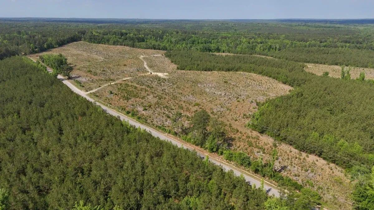 Johnson 183 Tract - Chesterfield, South Carolina, 29709