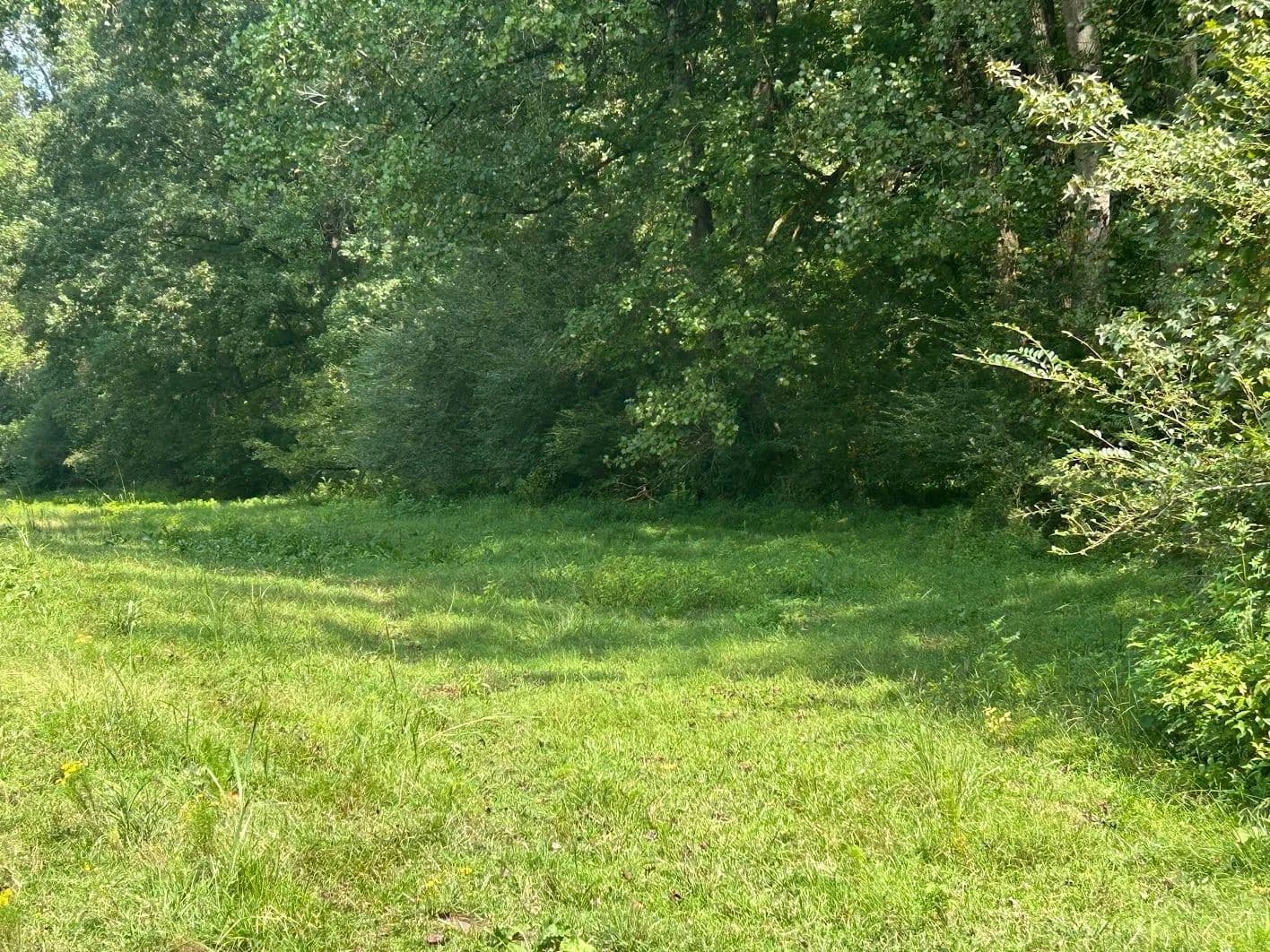 Land -Agricultural (Not Zoned) in Bowdon - land for sale