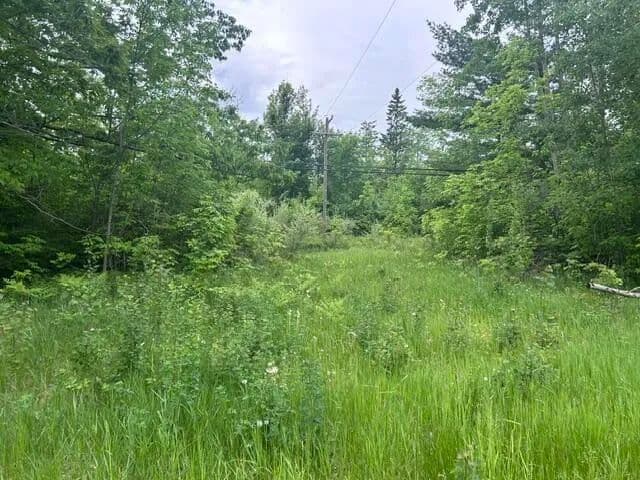 Property from 0.75 AC N US-23 - KW - Spruce, Michigan, 48762