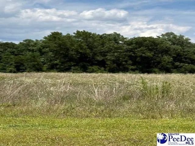 Lots & Land-Other in Lamar