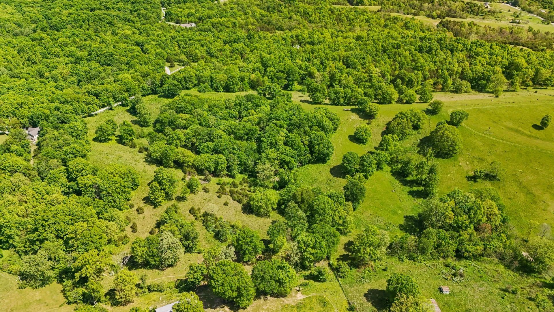 10 Acres of Land for Sale in Sadieville, Kentucky - Sadieville, Kentucky, 40370