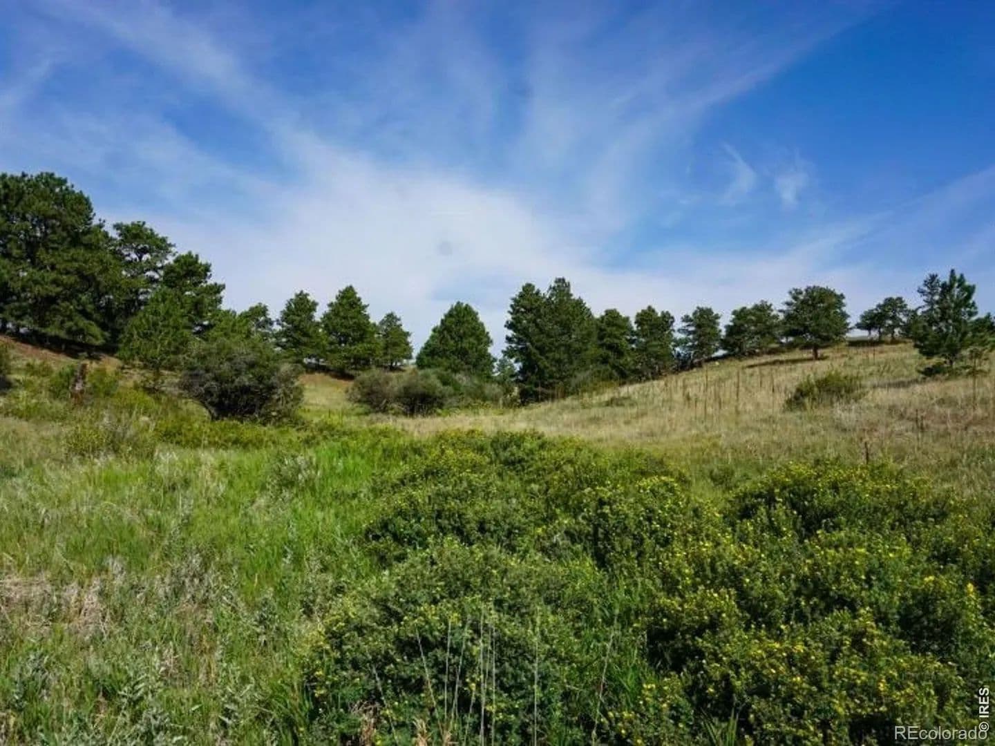 Property from 0 Stub Court - KW - Livermore, Colorado, 80536