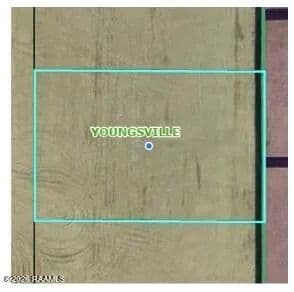 Property from 401 Sunset Palm Court - KW - Youngsville, Louisiana, 70592