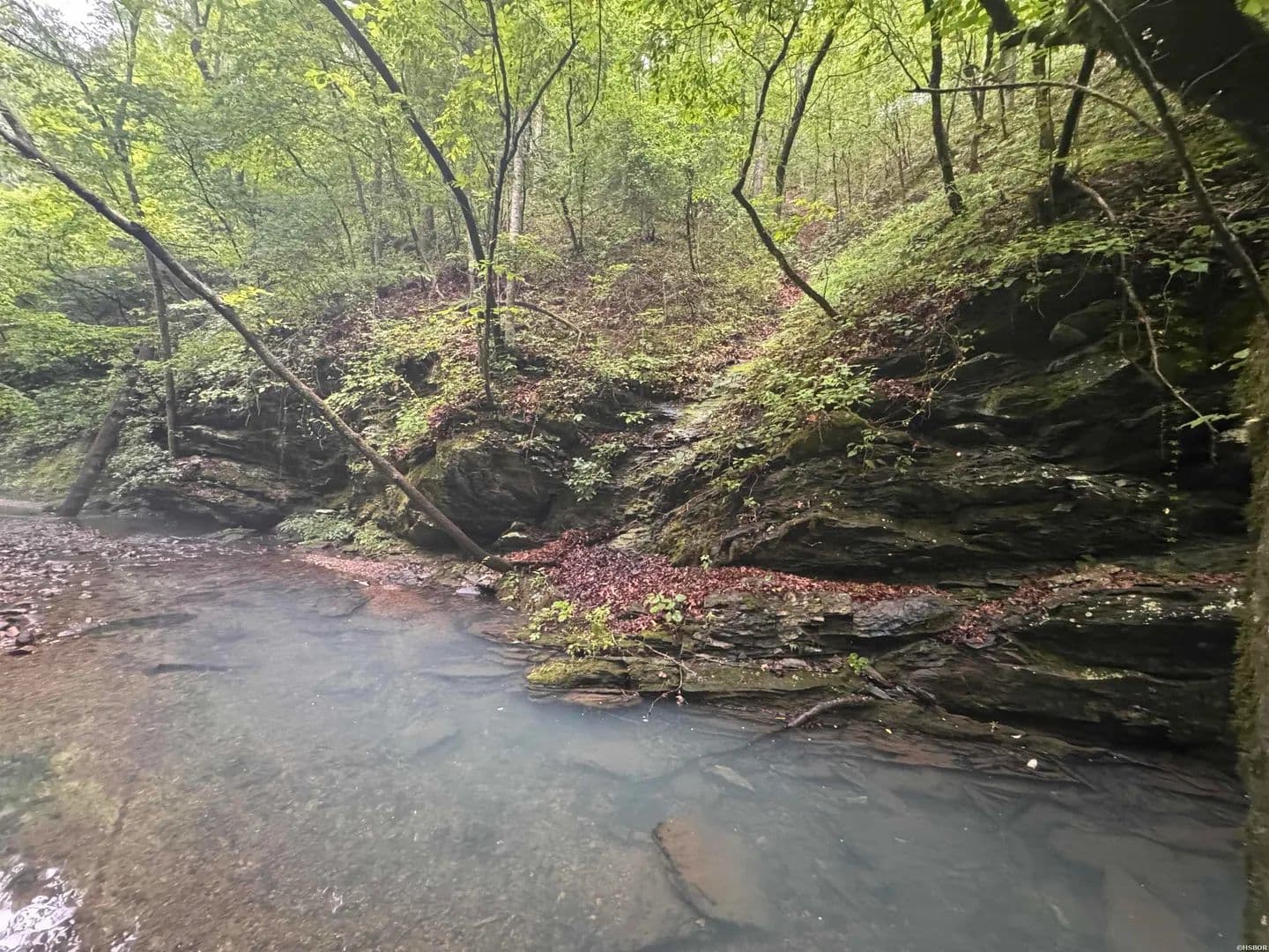 Property from 10 acres LIBERTY Road - KW - Norman, Arkansas, 71960
