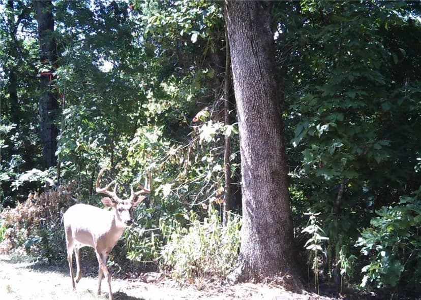 Property from 10932 Georgia Flat Road - KW