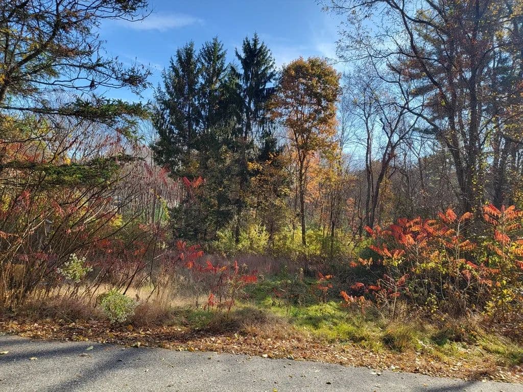 Vacant Land in Brimfield - Brimfield, Massachusetts, 01010
