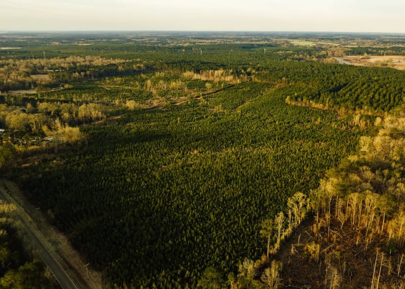 59 Acres in Lincoln County, MS