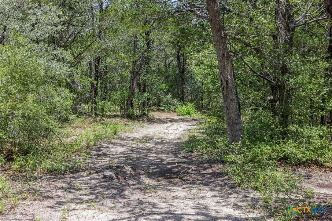 10 Acres of Land for Sale in Rosanky, Texas - Rosanky, Texas, 78953