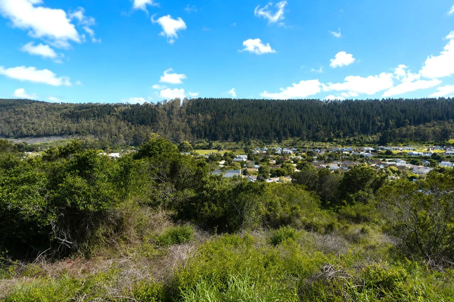 875 Acres of Land for Sale in Sedgefield, Western Cape - land for sale