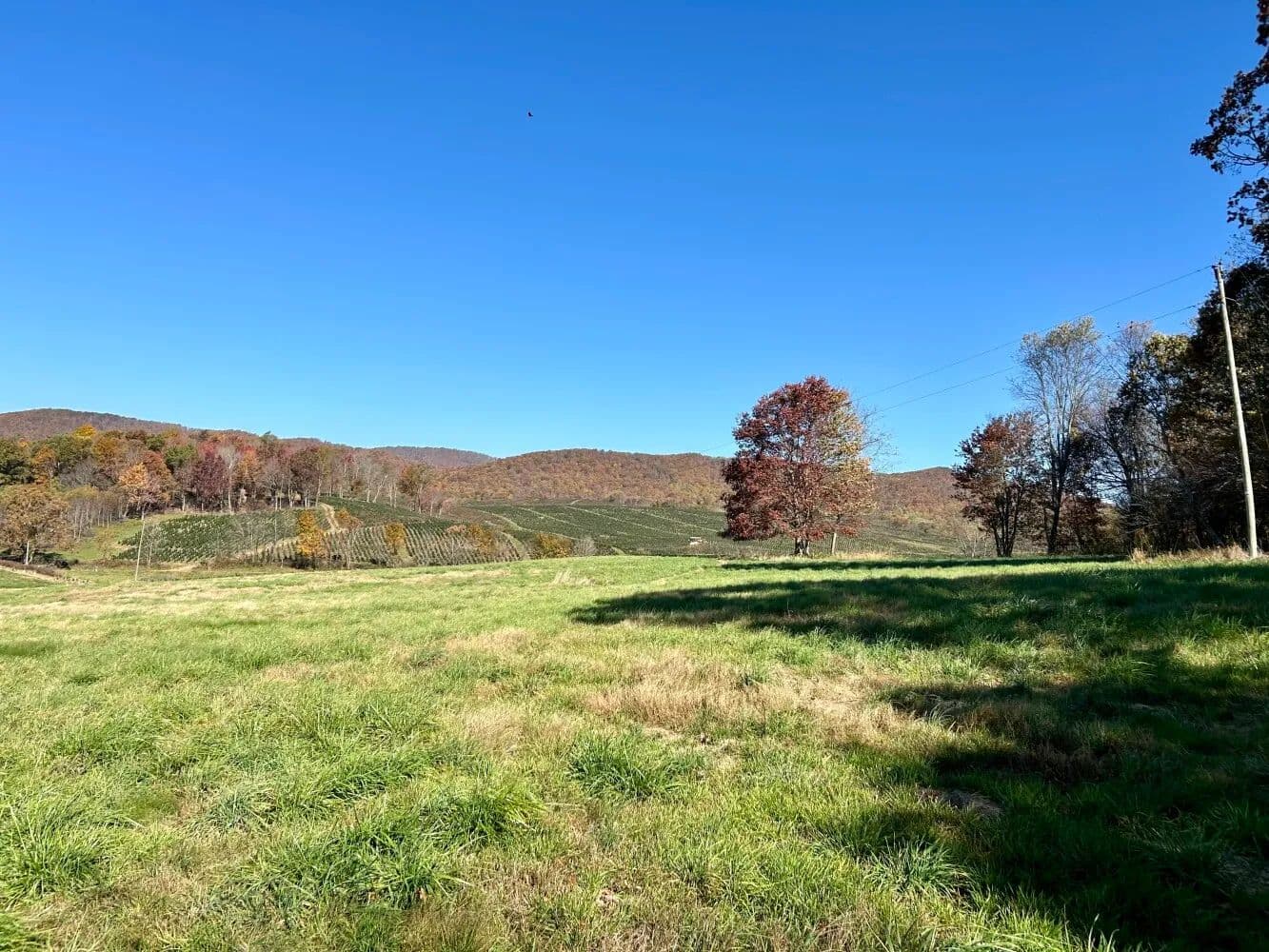 Sugar Grove Homesite with Acreage - Sugar Grove, Virginia, 24375