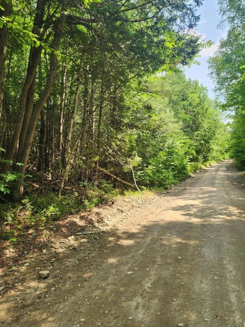 Vacant Land in Springfield - Springfield, Maine, 04487