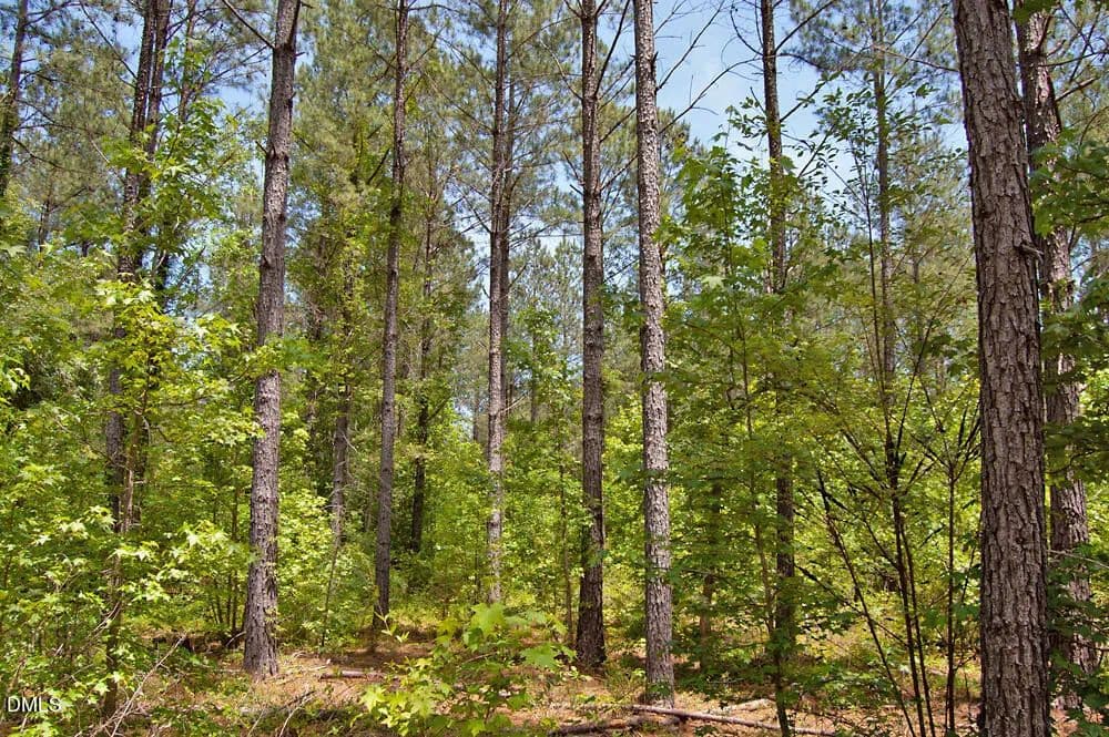 11.61 Acres of Land for Sale in Louisburg, North Carolina - Louisburg, North Carolina, 27549