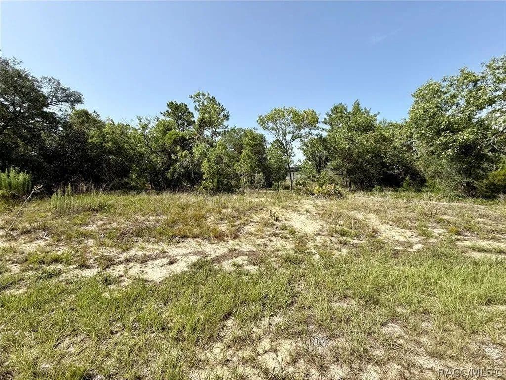 Lots & Land-Other in Dunnellon - Dunnellon, Florida, 34433