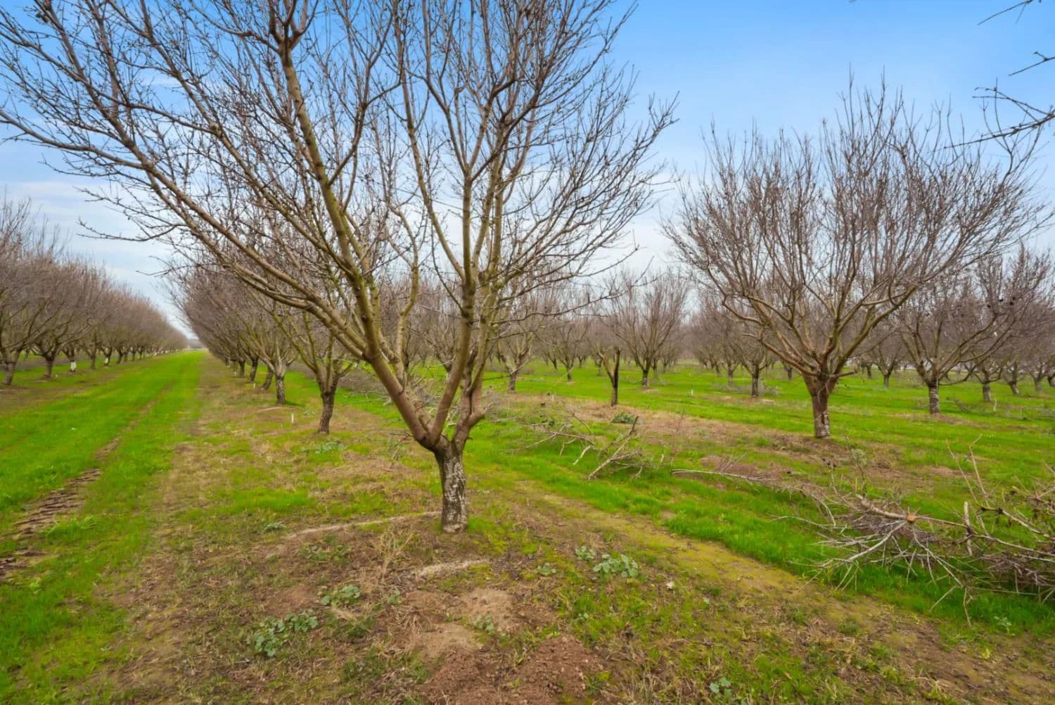 Property from 16221 Carrolton - KW - Escalon, California, 95320
