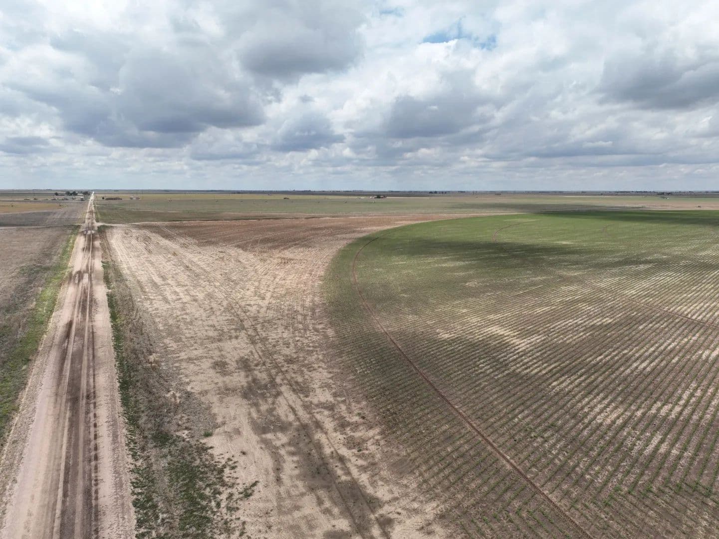 320+/- Acre Irrigated Farm in Texas Co. - Guymon, Oklahoma, 73940