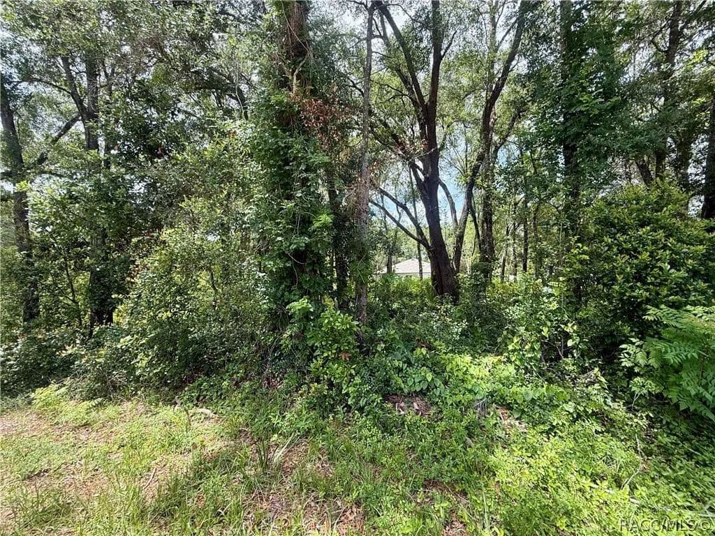 Property from 3965 E Walker Street - KW - Inverness, Florida, 34453