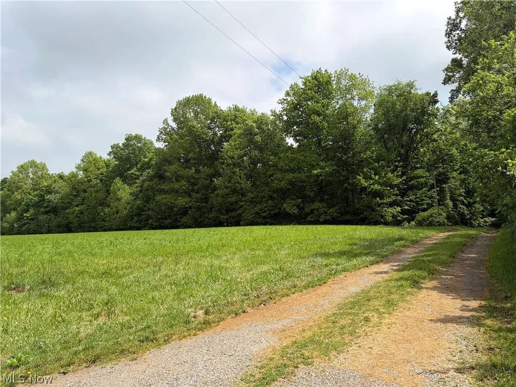 10.15 Acres of Land for Sale in Shreve, Ohio - land for sale