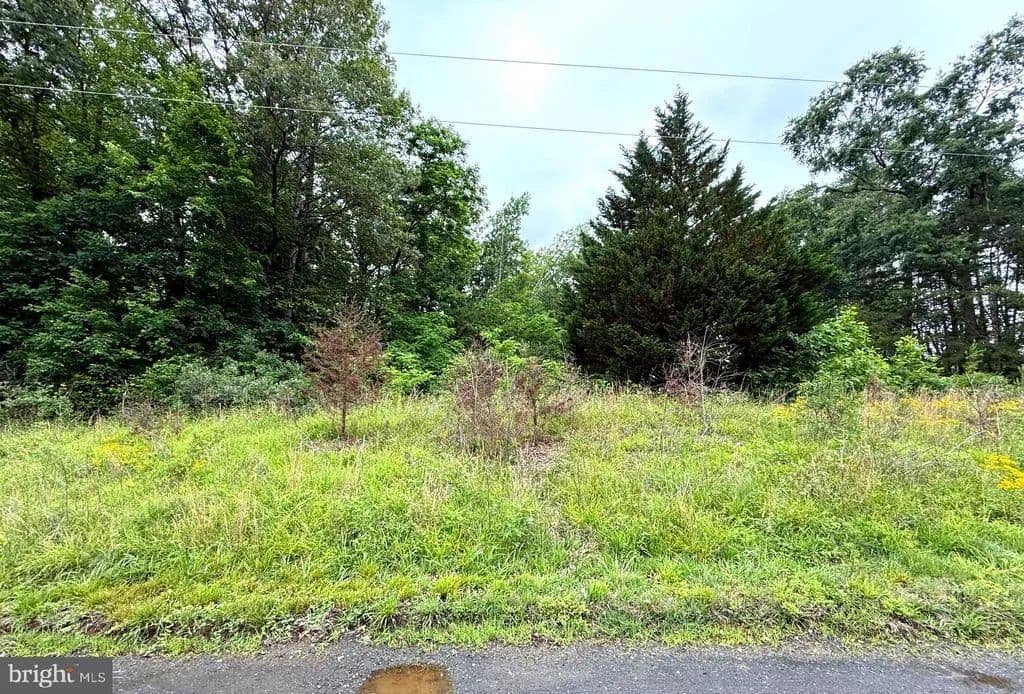 Property from 47 DELMAR LANE - KW - Fredericksburg, Virginia, 22406